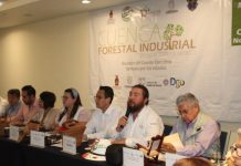 Buscan elevar la competitividad de la actividad forestal sustentable