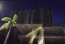 Retiran sellos de clausura en obra “Camino al Mar”