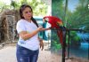Inauguran el XIX Encuentro de la Niñez de Sinaloa por la Conservación de las Aves