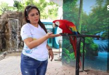 Inauguran el XIX Encuentro de la Niñez de Sinaloa por la Conservación de las Aves