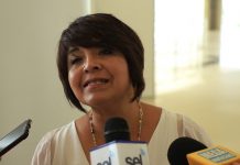 De Momento 18 Palmeras Serán Sustituidas: L. Sanjuan