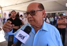 Con Palmeras Cocoteras y Nochebuenas Repoblarán el Malecón