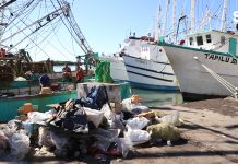 Parque Bonfil en el Abandono de Gobiernos Estatal y Municipal