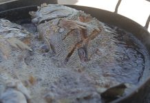 Pargo, Dorado, Langosta y ¡Riquísimas Cucarachas!