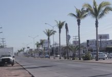 Quirino dará Banderazo de Rehabilitación de la Rafael Buelna