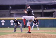 ASEGURA VENADOS SERIE