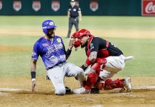 DESAPARECE PITCHEO Y BATEO PORTEÑO EN ÚLTIMO DE LA SERIE