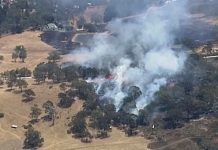 Disminuyen incendios forestales en Sinaloa; registran solo 18 en lo que va del año