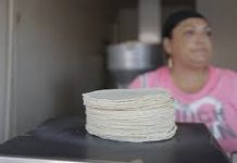 Precio Límite de la Tortilla son 20 Pesos por kilo