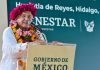 Se promocionó la imagen de AMLO con recursos de la Secretaría del Bienestar