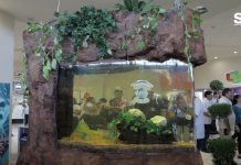 Inauguran Pecera «Descubriendo Mazatlán», en el Aeropuerto