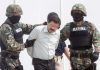‘El Chapo’ tenía representantes en el Gobierno: López Obrador