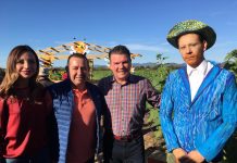 Inauguran Campo de Girasoles en Mocorito