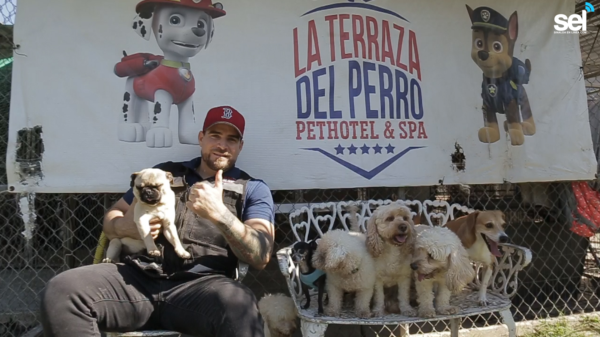 desagradable Cíclope Tormenta La Terraza del Perro; hotel y spa para tu mascota | Sinaloa en Linea