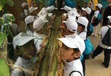 Realiza Acuario Mazatlán Primera edición del 2020, del programa educativo «Conociendo mi Acuario»