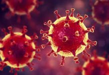 COEPRISS exhorta a la prevención ante el riesgo de influenza y neumonía por coronaviru