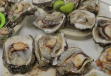 Expo Feria del “Ostión Más Rico del Mundo” en Elota