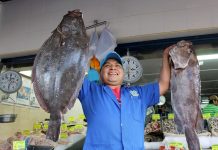 Mantiene Gobierno de Mazatlán respaldo al sector pesquero: Estrella Palacios