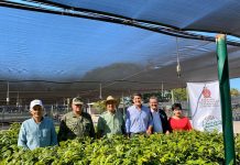 SEDESU entrega 5 mil Apomos para reforestar las cuencas hidrológicas en la sierra de Sinaloa