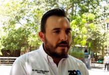 LOBOS MARINOS RESCATADOS ESTÁN VIVOS PERO GRAVES: ZOO CULIACÁN