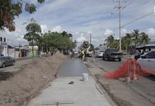 Avance Importante del Colector Rooselvet