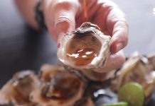 Es Expo Feria del Ostión una puerta a la economía de Elota