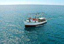 Piden actualizar padrón de Bienpesca y eliminar beneficiarios irregulares