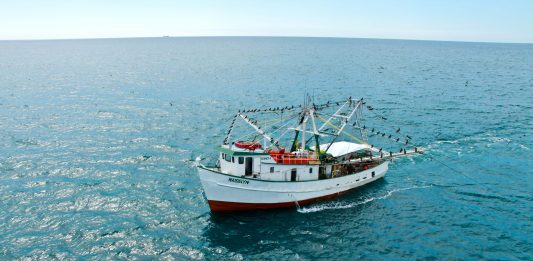 Piden actualizar padrón de Bienpesca y eliminar beneficiarios irregulares