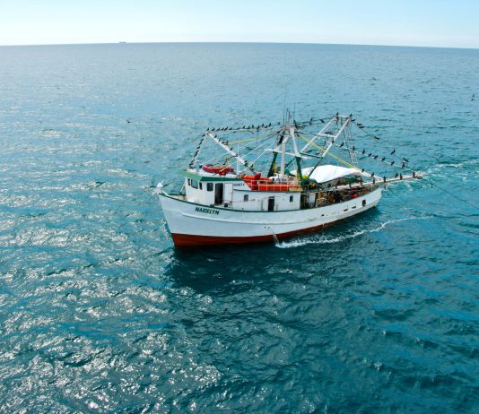 Piden actualizar padrón de Bienpesca y eliminar beneficiarios irregulares