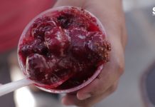 ¡La Delicia de Moda!: Agridulce Chamoy, Ciruela y Arándano