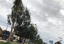 Obras en la Avenida La Marina, no tienen para cuando terminar