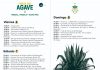 Celebrarán del 6 al 8 de marzo la Fiesta del Agave en Mazatlán
