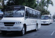 Trabajan camioneros inseguros contra el Covi-19