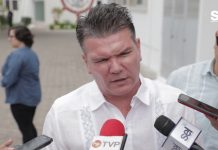 Mañana Llegan Dos Cruceros Sin Problemas de Coronavirus