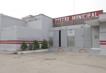 Temor Entre los Abasteros del Viejo Rastro Municipal