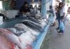 A pique las ventas de pescado en el embarcadero