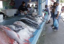 A pique las ventas de pescado en el embarcadero
