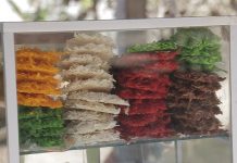 Son cocadas la fuente de empleo en Isla de la Piedra