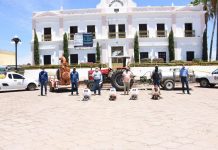 Se suma a las acciones de sanitización en Rosario la Junta Local de Sanidad Vegetal del sur de Sinaloa