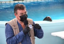 Lanza Acuario Mazatlán “Acuario TV”