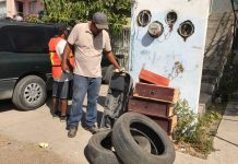 Salud recomienda acciones desde casa para evitar casos de dengue