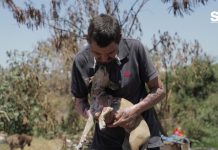 Jorge y “Thalía” Viven Todavía la Tragedia