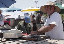 No Hay Venta de Pescado en Playa Norte: C. Torres