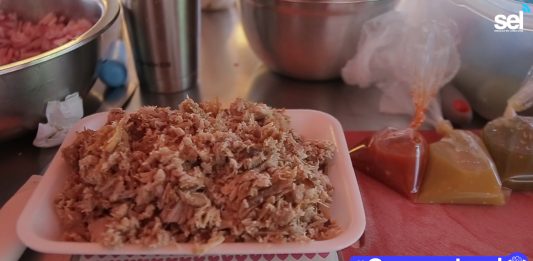 ¿Ya probaste las tostadas de cochito tatemado? Sólo en “taquería Ivonne”