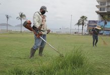 Arriesga su vida para mantener a Mazatlán limpio