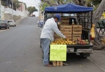 Mangos, Mangos ¡lleve sus mangos!