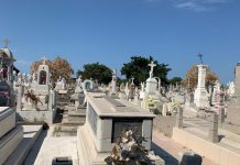Comienza la restricción en Panteones Municipales