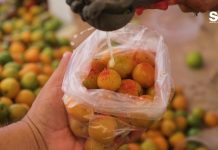 ¡¡¡Llegaron las Ciruelas Rojas y Amarillas…Sabrosísimas!!!