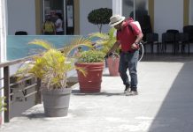 El Fantasma del COVID Recorre Palacio Municipal de Mazatlán
