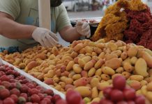 Se va la ciruela, llega el mango «Perlita»